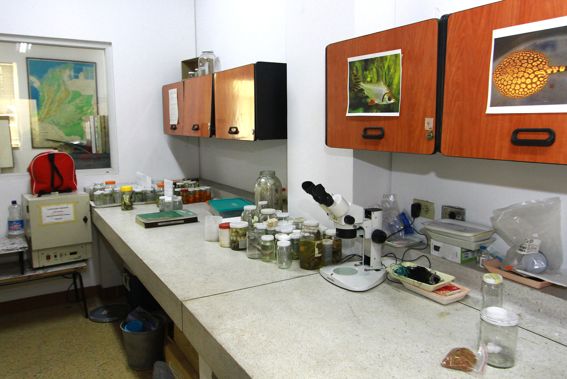 Investigaciones en INCIVA