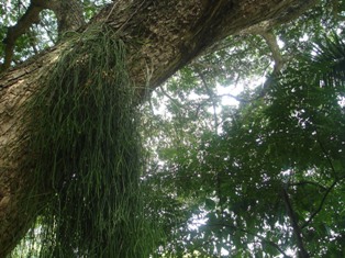 Parque Natural Regional el Vínculo