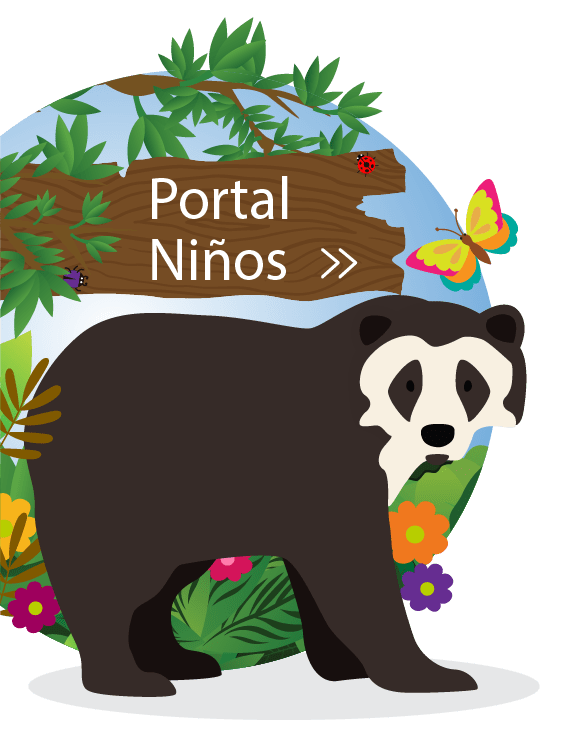 página web para niños
