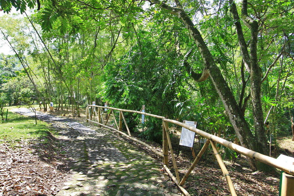 patrimonios-turisticos---v2/jardin-botanico-juan-maria-cespedes---tulua