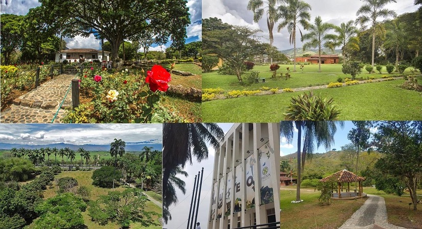 123627-collage