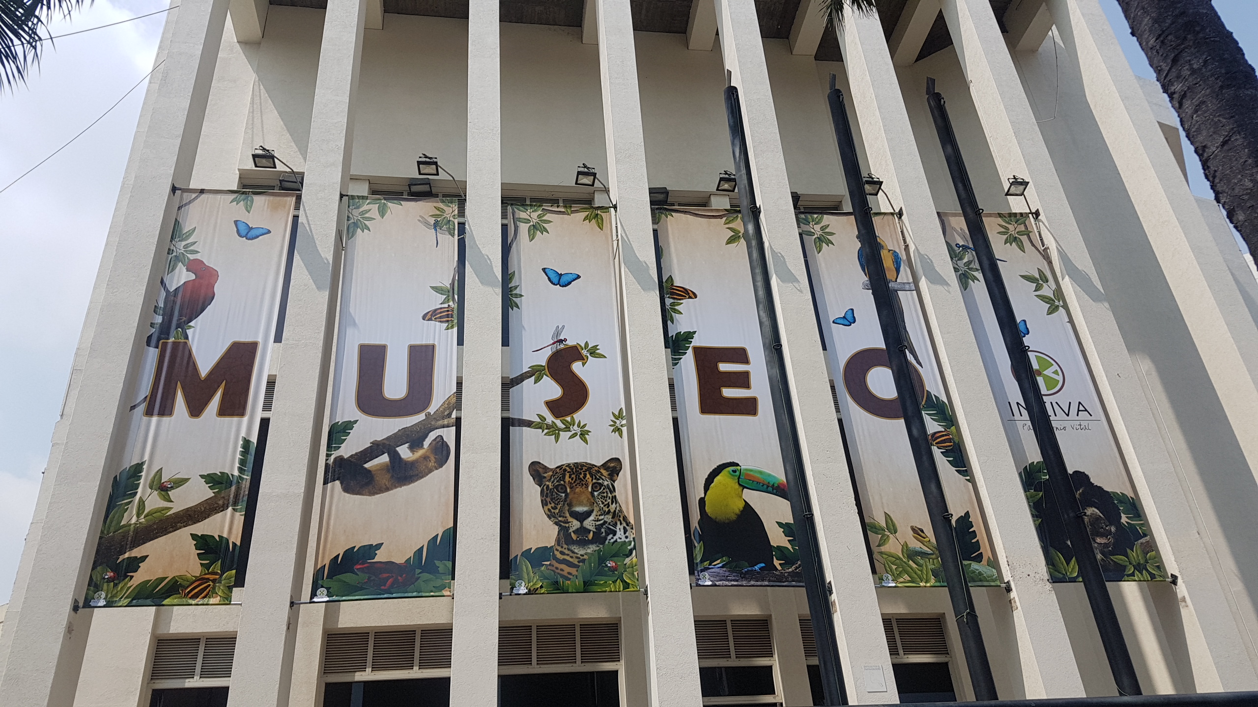 noticias-destacadas/el-museo-de-ciencias-naturales-en-la-ruta-de-los-museos-de-la-feria-de-cali