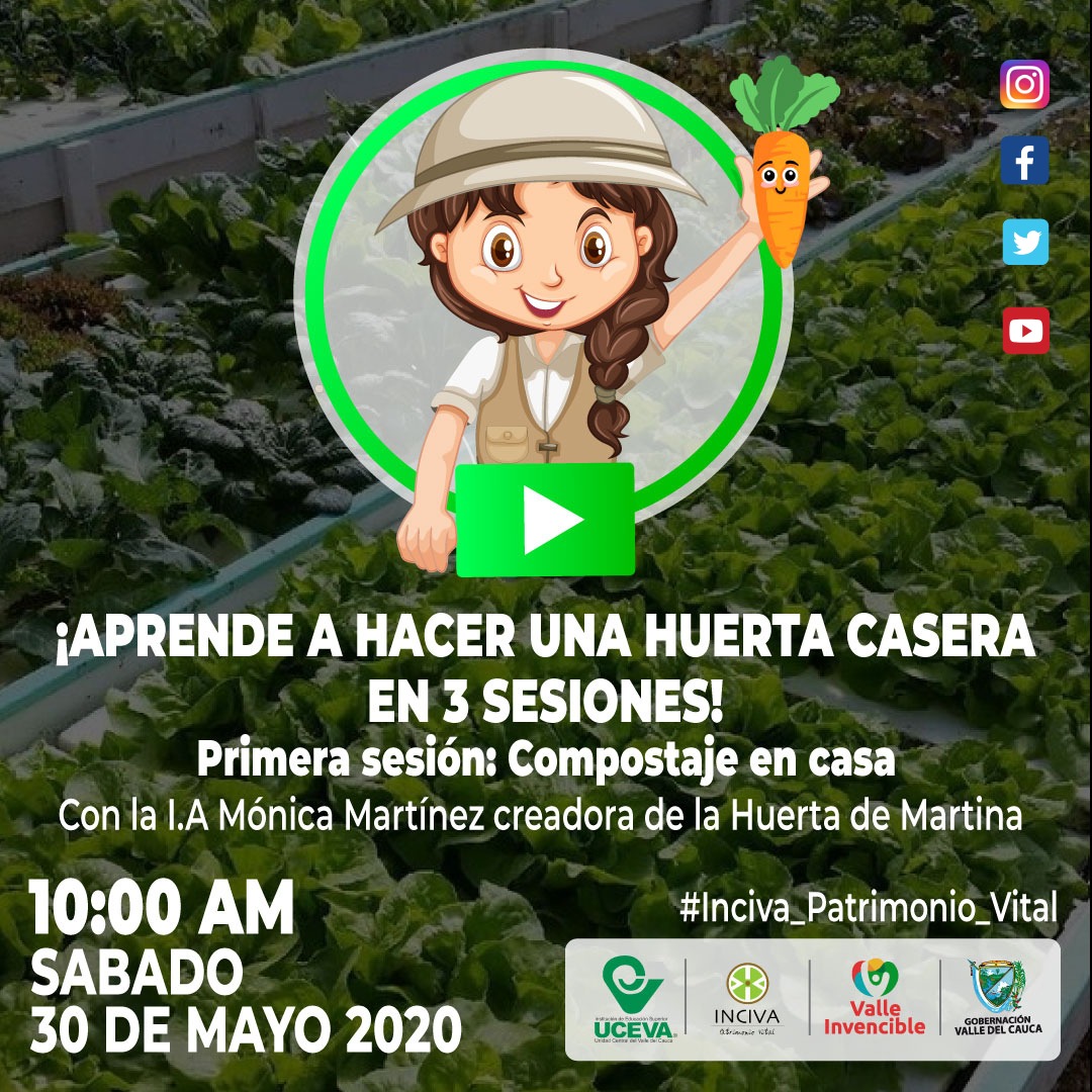 noticias-destacadas/--aprende-a-hacer-una-huerta-en-casa-