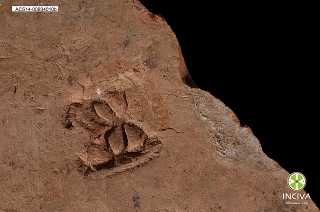 baldosa-tile-n-34