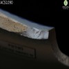 impresion-por-transferencia-paisajes-y-escenas-historicas-transfer-printed-landscapes-and-historical-scenes