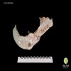 ceramica-hidrosanitaria-ceramic-plumbing-n-33