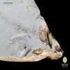 ceramica-hidrosanitaria-ceramic-plumbing-n-33