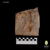 otros-others-n-38