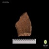 teja-tile-n-31