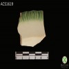 borde-de-concha-shell-edge