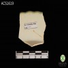 borde-de-concha-shell-edge