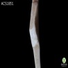 porcelana-bone-china-sobrevidriado-bone-china-porcelain-overglazed