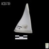 porcelana-china-de-exportacion--porcelain-chinese-export