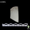 porcelana-bone-china-sobrevidriado-bone-china-porcelain-overglazed